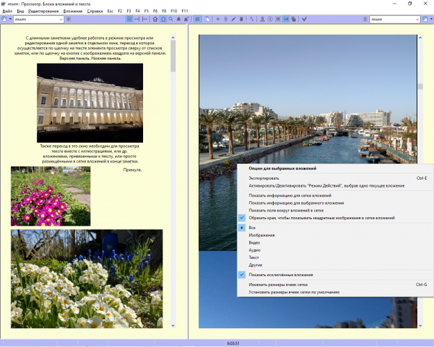 Двухпанельный просмотр изображений из одной заметки для Windows десктоп приложения